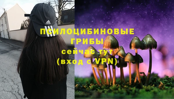 МДПВ Алексин