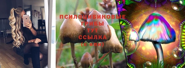 эйфоретик Алзамай